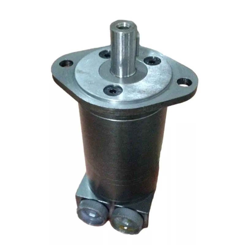 50 RPM লো-স্পীড হাই-টর্ক হাইড্রোলিক মোটর